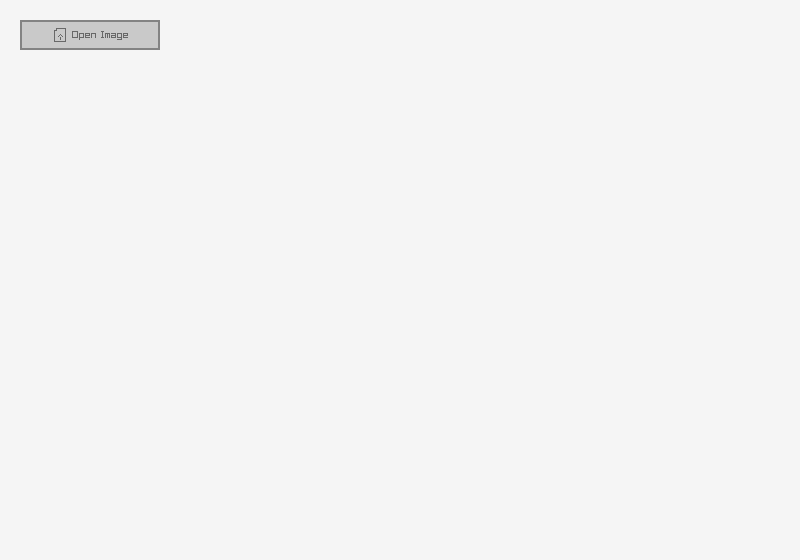 custom_file_dialog